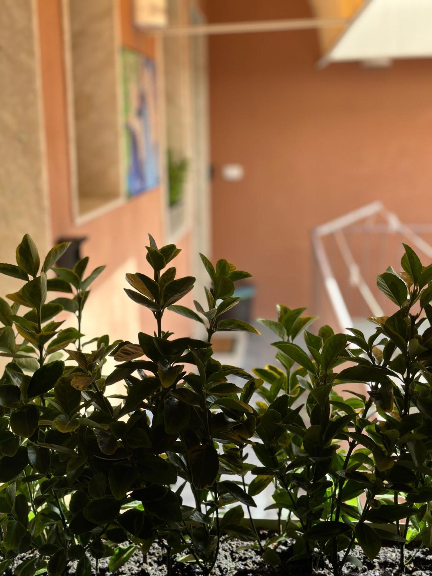 Le Camere Luxury Rooms Siracusa Syracuse Eksteriør bilde