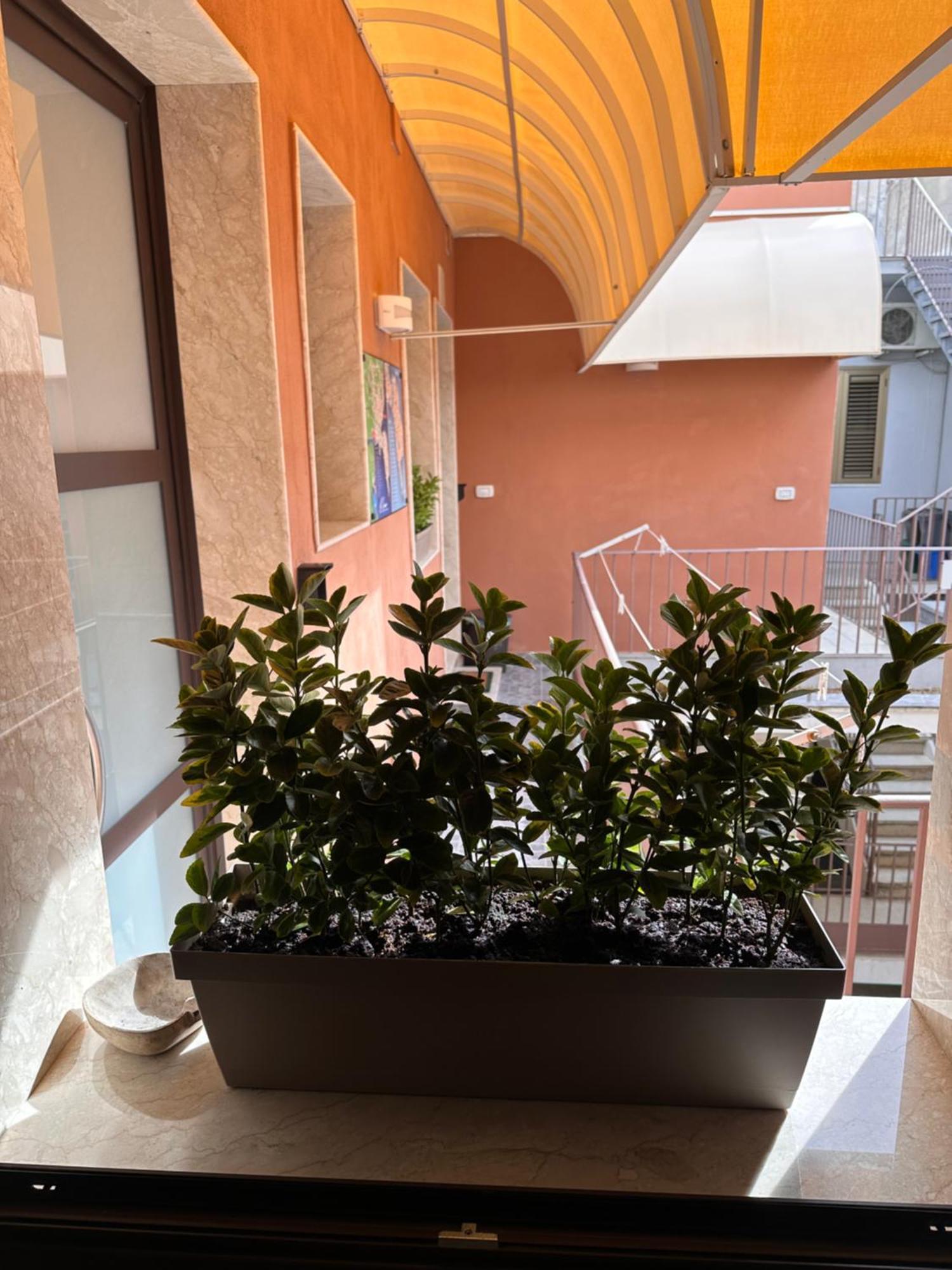 Le Camere Luxury Rooms Siracusa Syracuse Eksteriør bilde